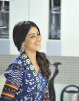 Genelia Stills in Naa Ishtam